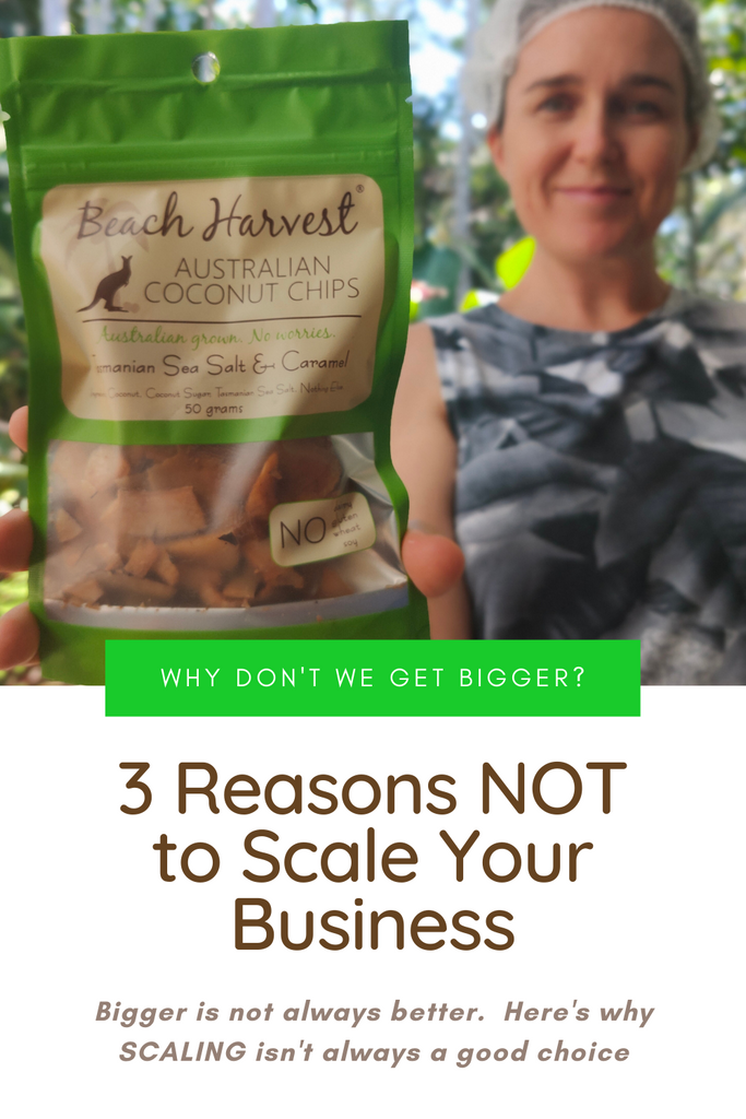 3 Reasons NOT to Scale Our Business