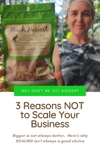 3 Reasons NOT to Scale Our Business