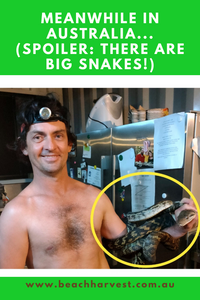 Coco-NUTS about Pythons!