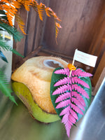Coconuts for Weddings & Corporate Events