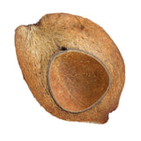 Coconut Shells - Halved and Shaved