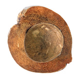 Coconut Shells - Halved and Shaved