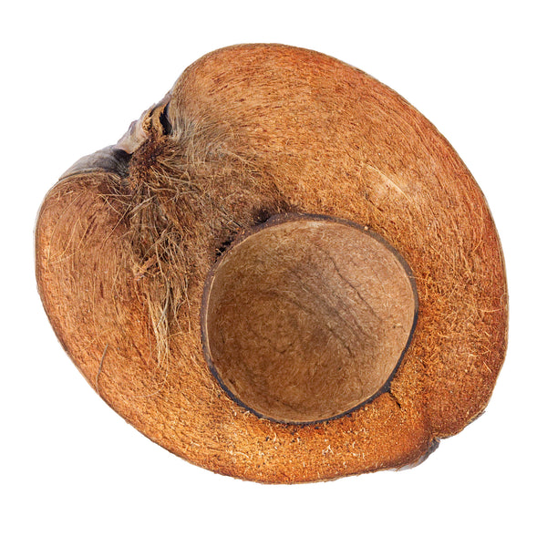 Wholesale Coconut Shell Half