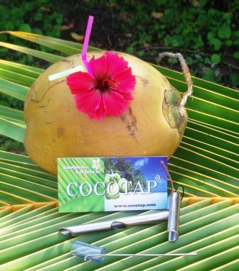 Mojoco Coconut Water Review @Habhitwellness #shorts #shorts  #coconutwater #ytshortsindia 